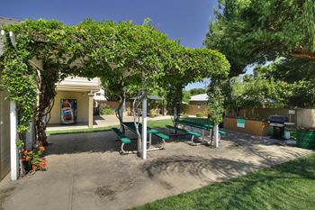 Shaded bbq and picnic area 